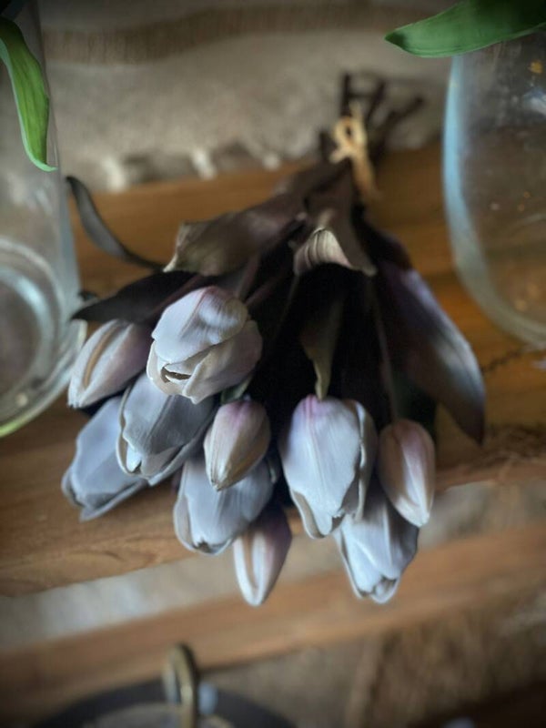 Tulp grijs met d. blad nr.4188