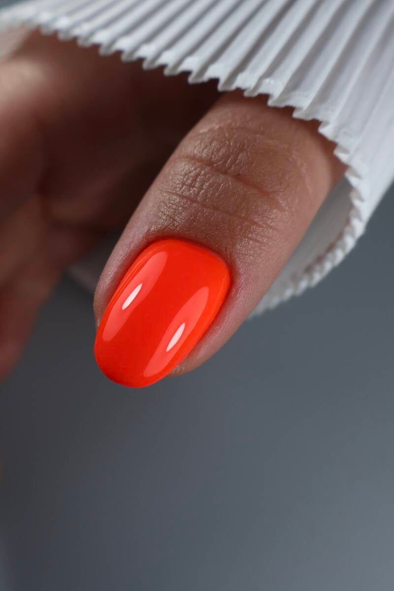 img_2413-standard.jpg