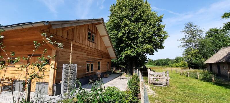 Uitzicht op De Markeboom in Wesepe, vlakbij Deventer in Overijssel