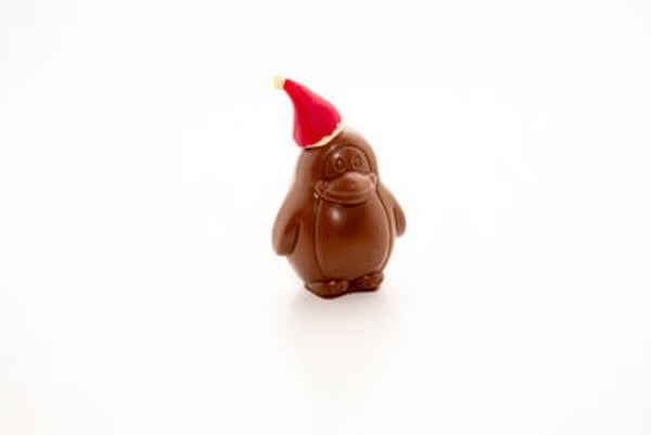 Pinguin met kerstmuts