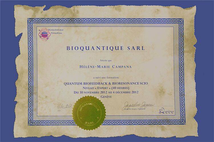 FORMATION NIVEAU EXPERT BIOQUANTIQUE 