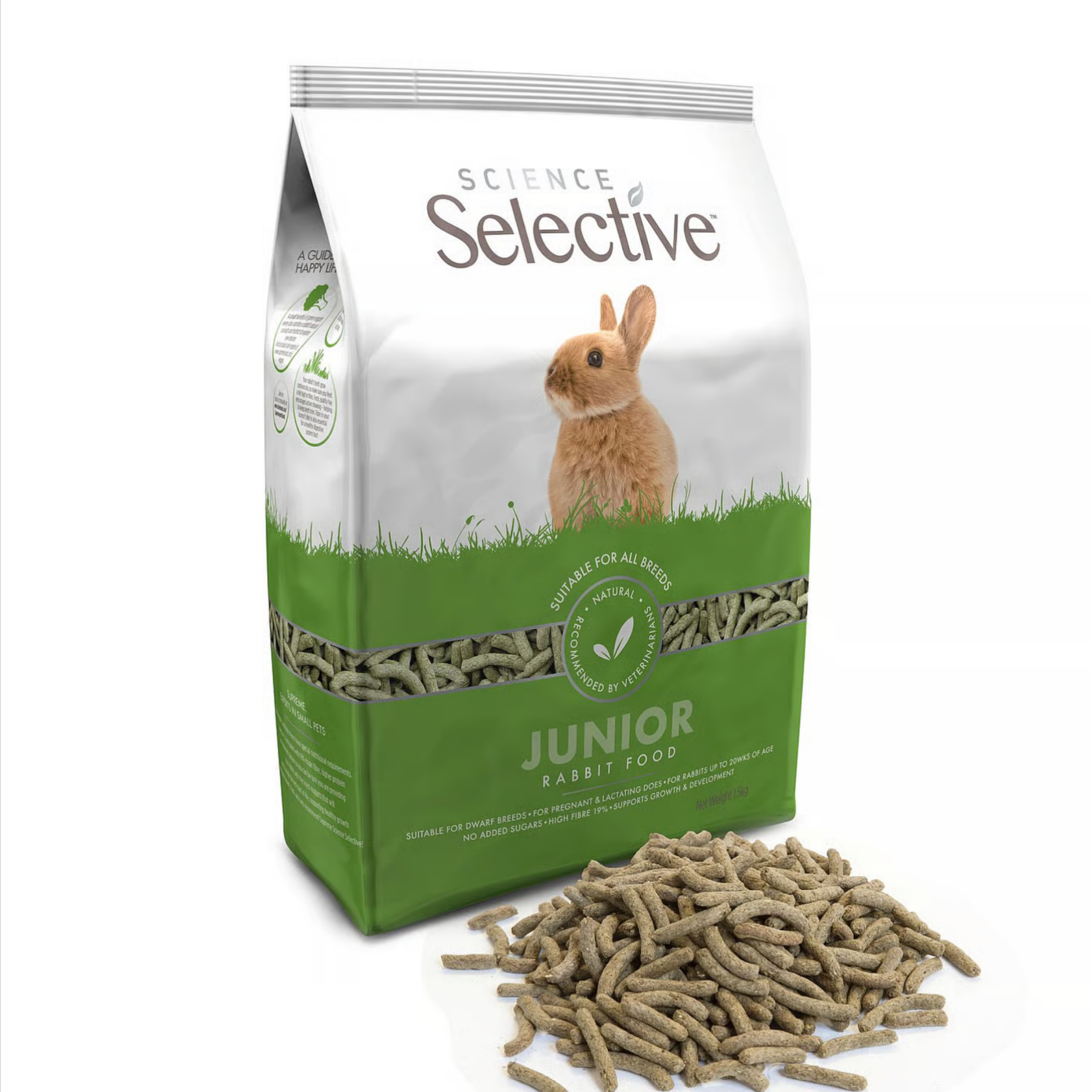 Science selective junior