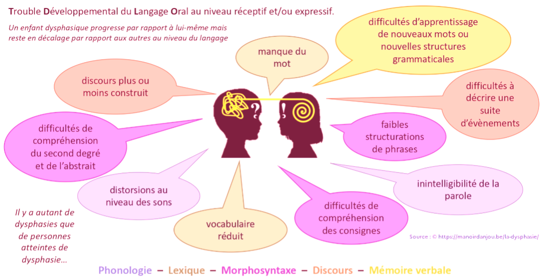e trouble développemental du langage oral (TDL)