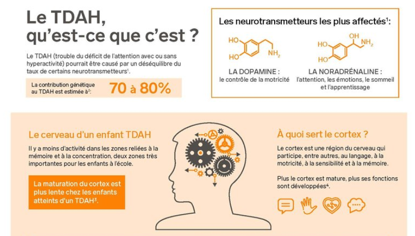 Le trouble du déficit de l’attention avec ou sans hyperactivité (TDAH) est un trouble du neurodéveloppement, associé à des petites différences dans la structure et le fonctionnement du cerveau des personnes concernées.