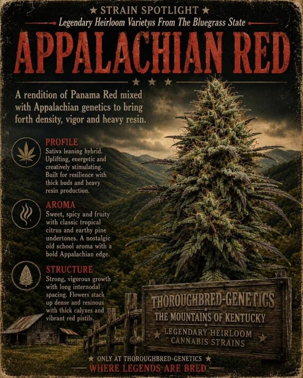 Appalachian red