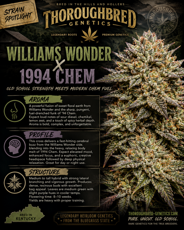 Williams wonder × 1994 chem