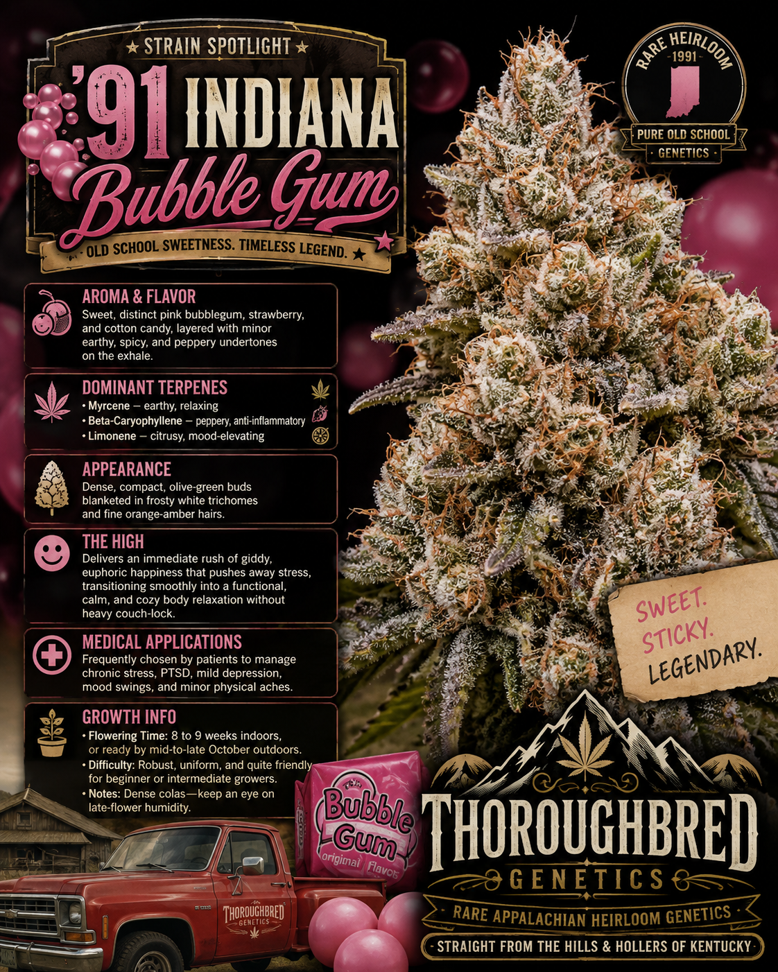 1991 Indiana bubble gum.