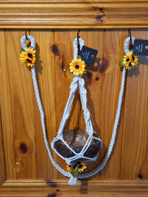 Sunny Sunflowers ~