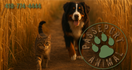 passeportanimal