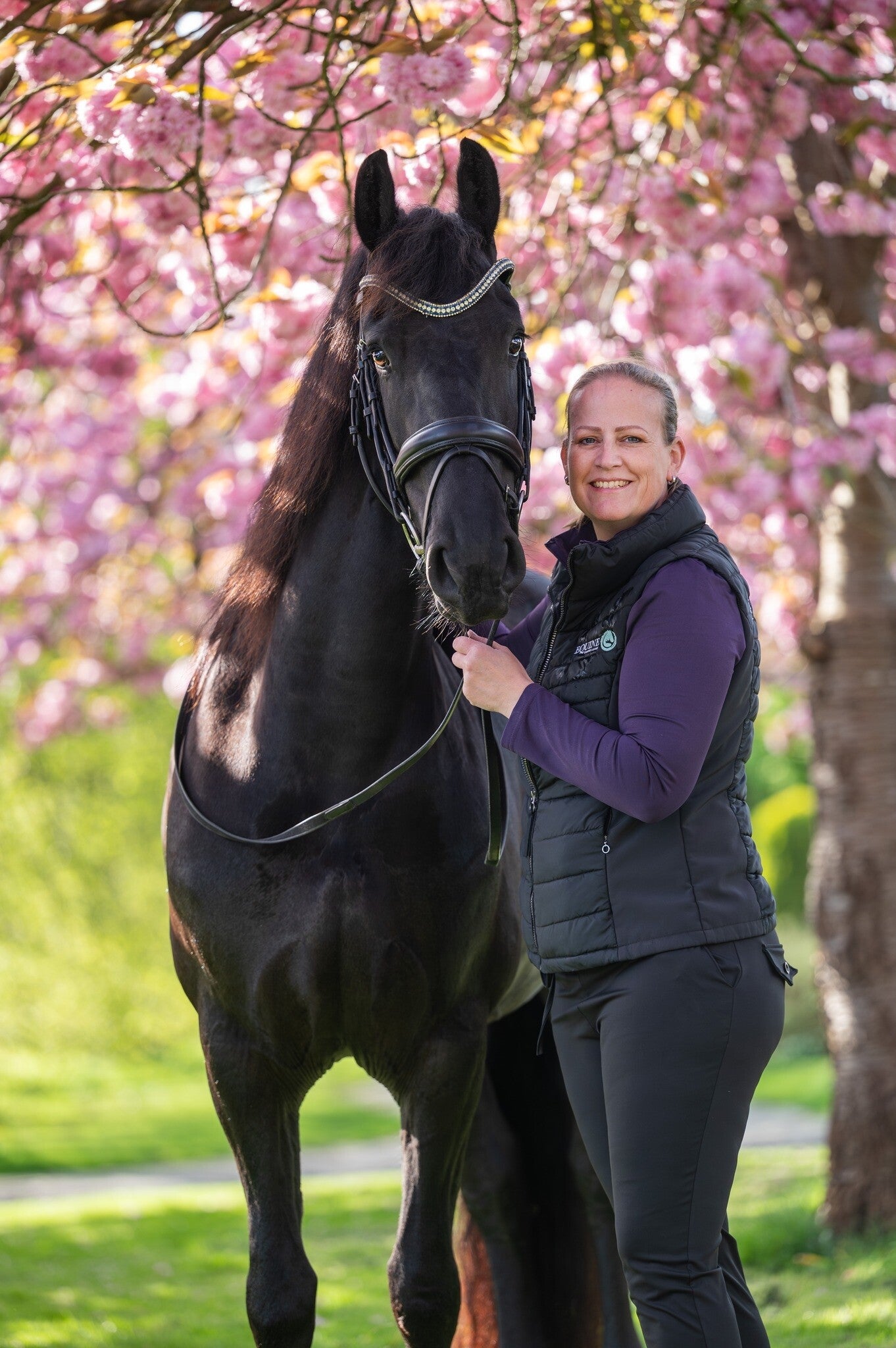 Manuele Lymfedrainage Paarden