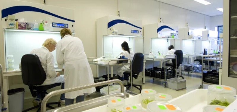 Tissue culture lab