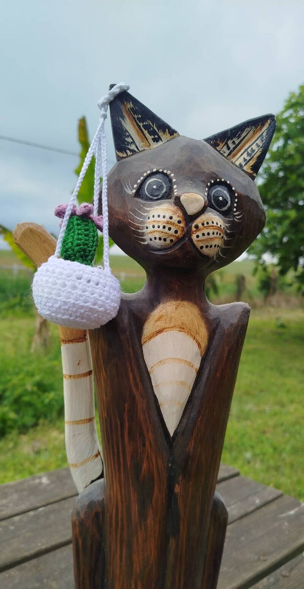 Plante suspendu cactus avec fleurs