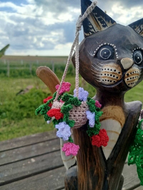 Plante suspendu géranium