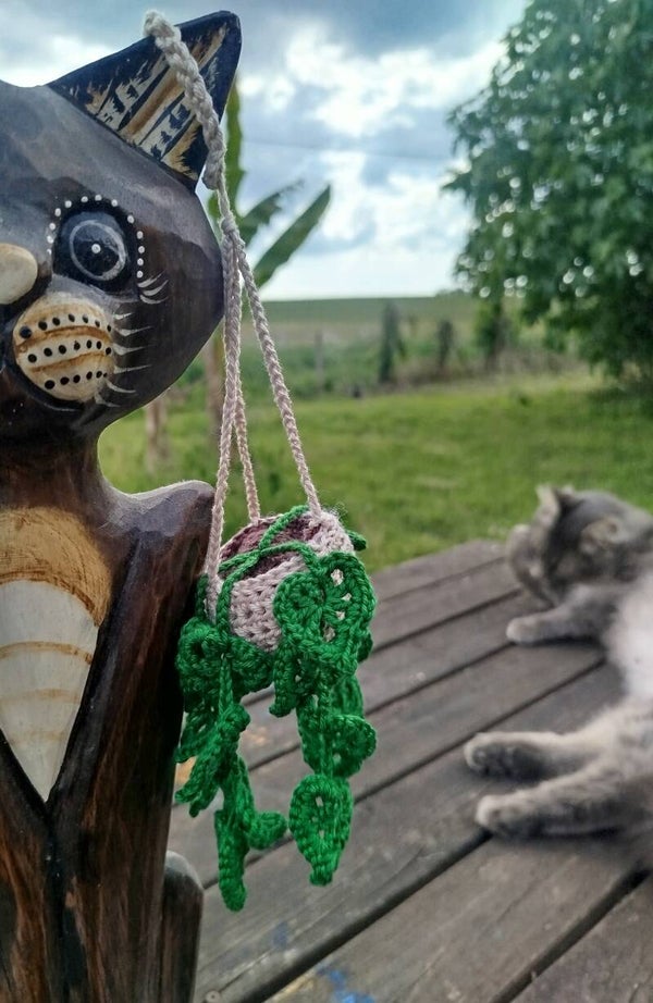 Plantes suspendu feuilles vertes