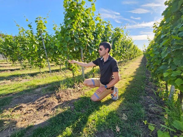 Rondleiding en degustatie