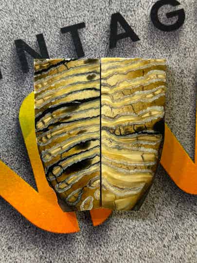 Stabilized Mammoth Molar (Set-21)