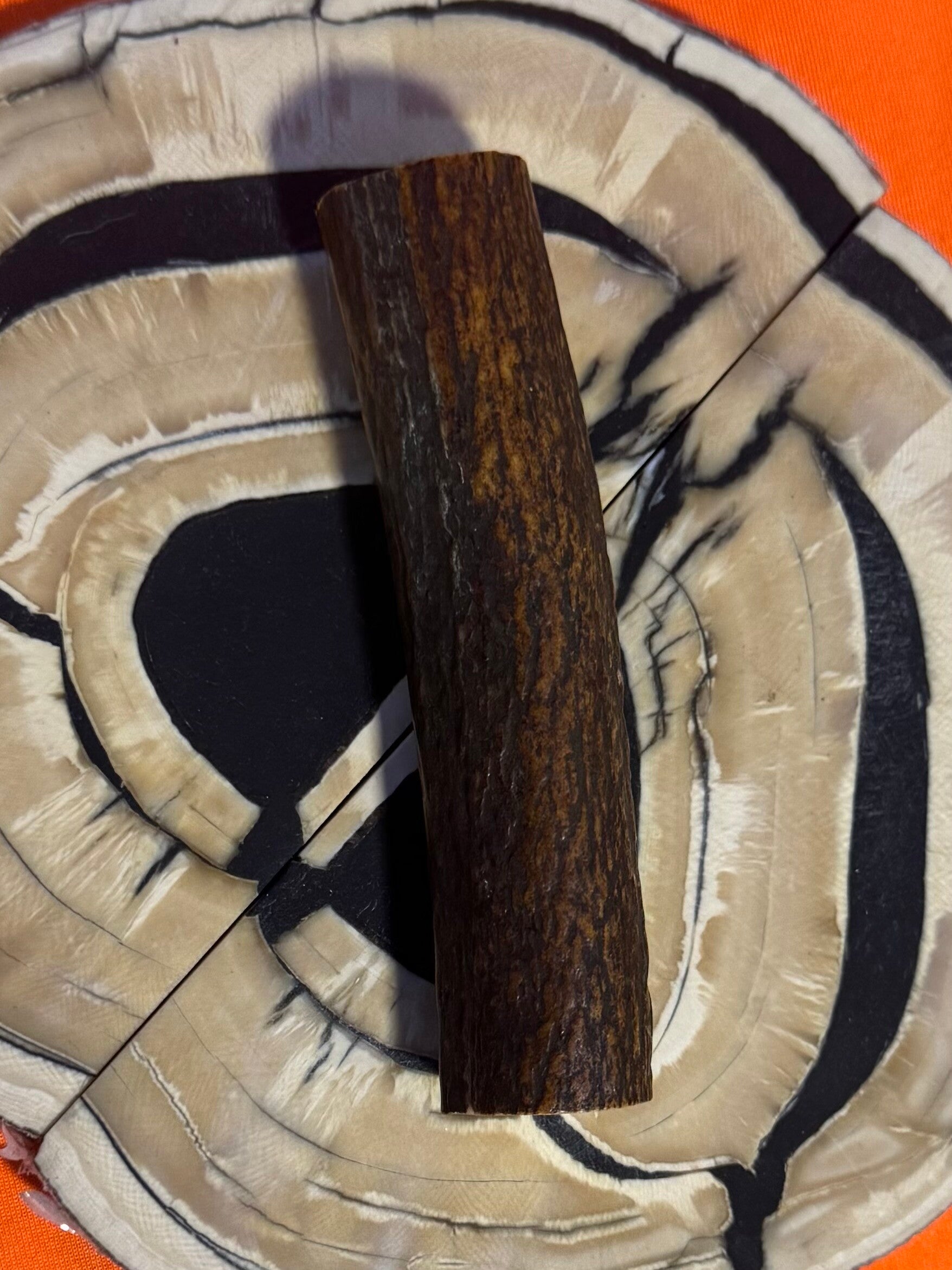 Real Sambar Stag Round  R-2