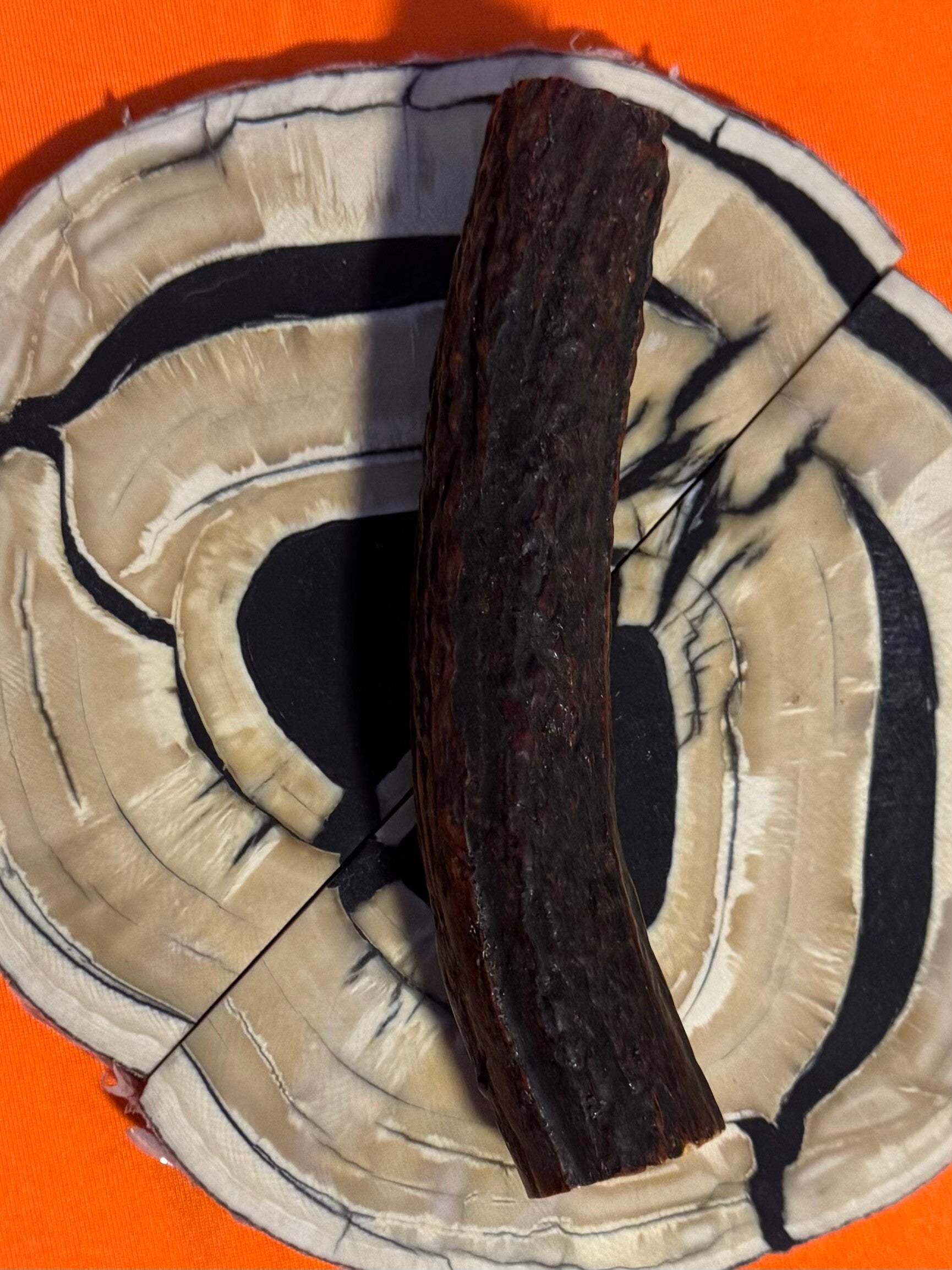 Real Sambar Stag Round  R-3