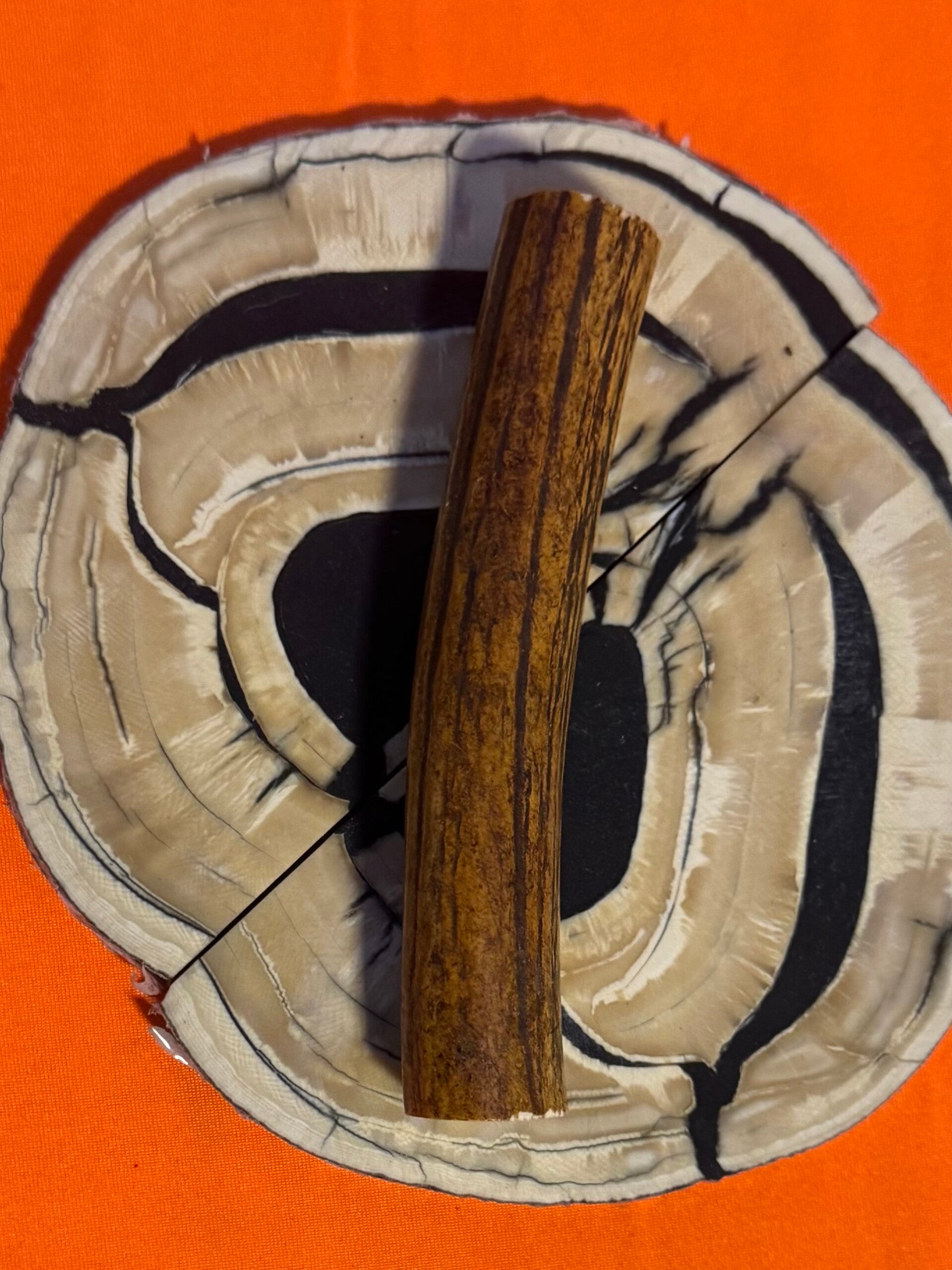 Real Sambar Stag Round  R-5