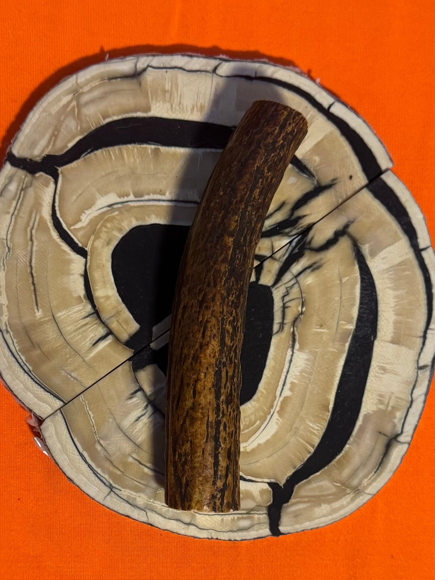 Real Sambar Stag Round  R-6