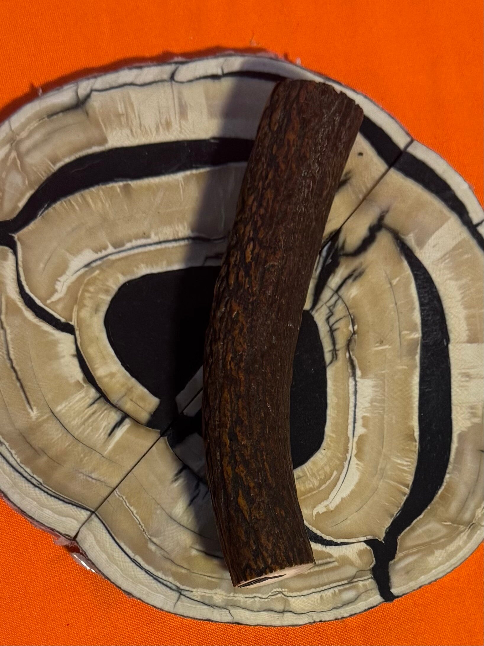 Real Sambar Stag Round  R-9