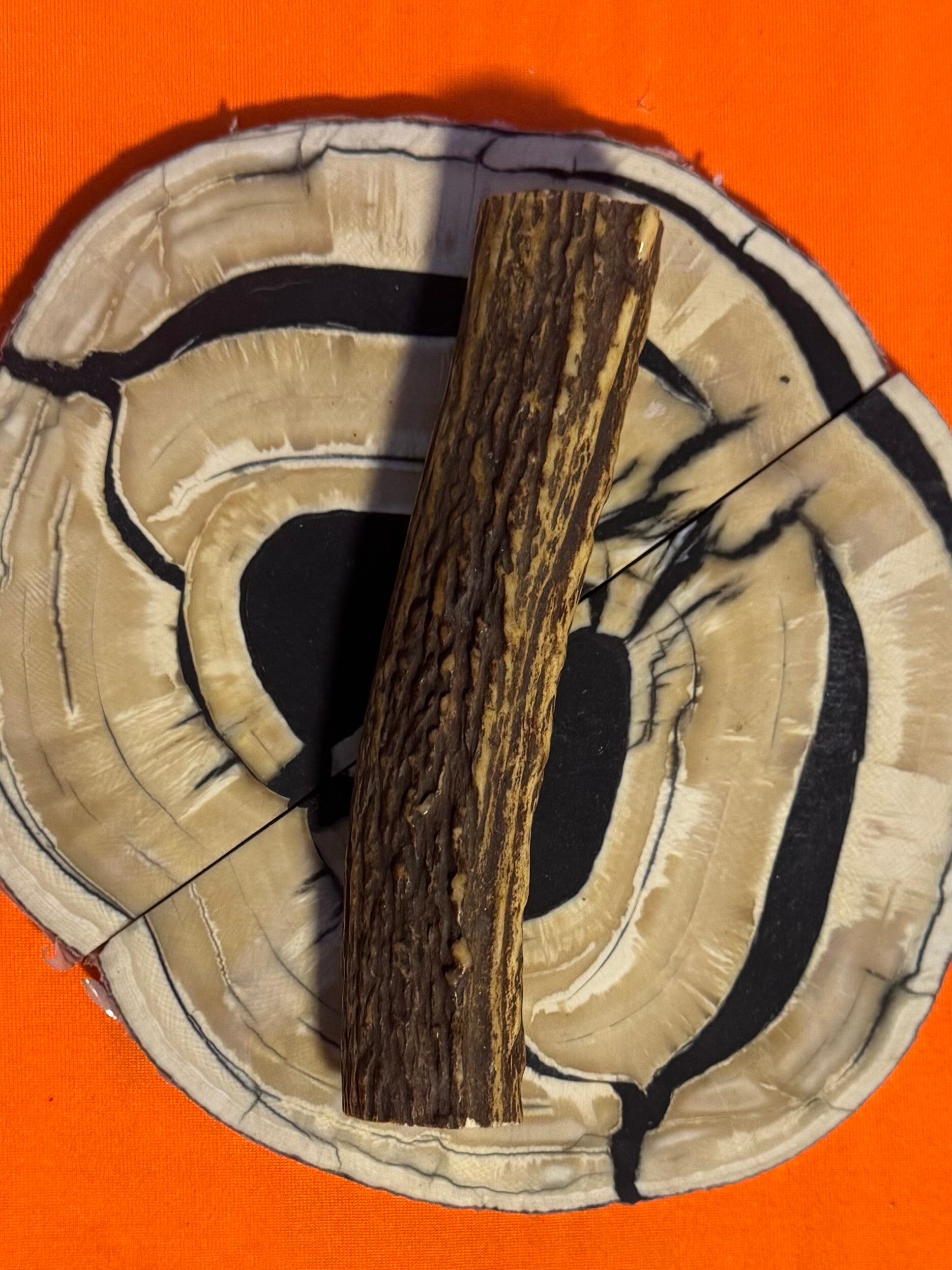 Real Sambar Stag Round  R-10