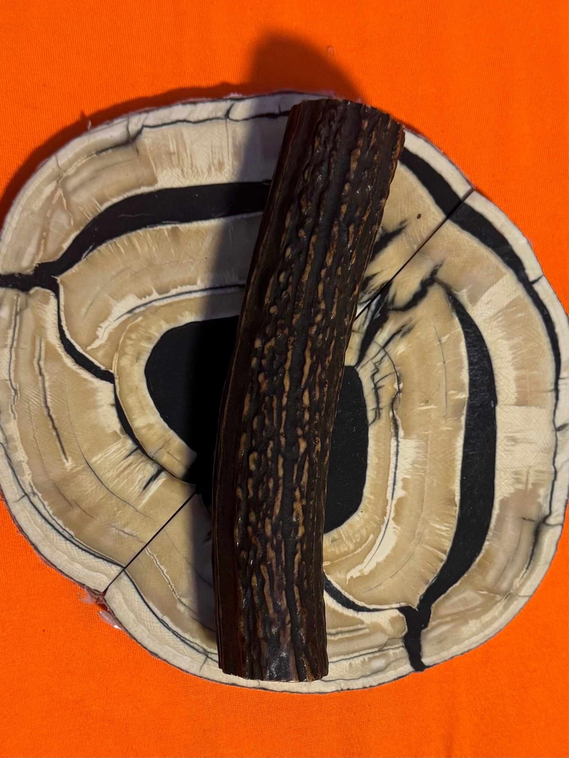 Real Sambar Stag Round  R-13