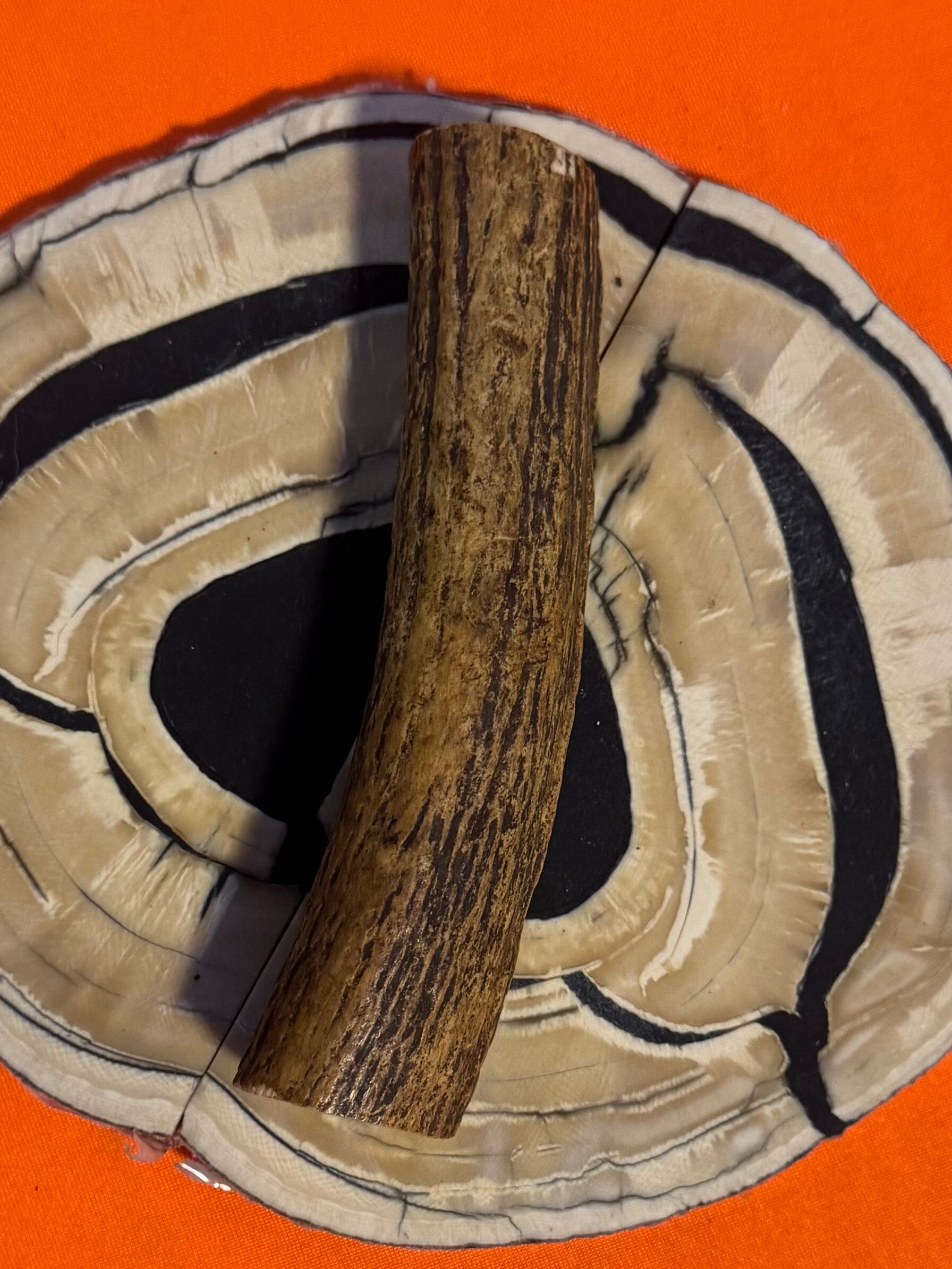 Real Sambar Stag Round  R-17