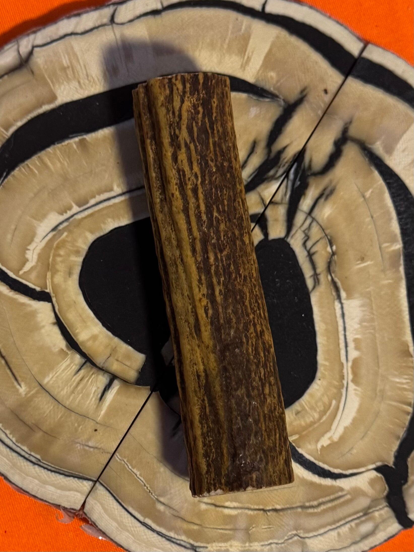 Real Sambar Stag Round  R-18