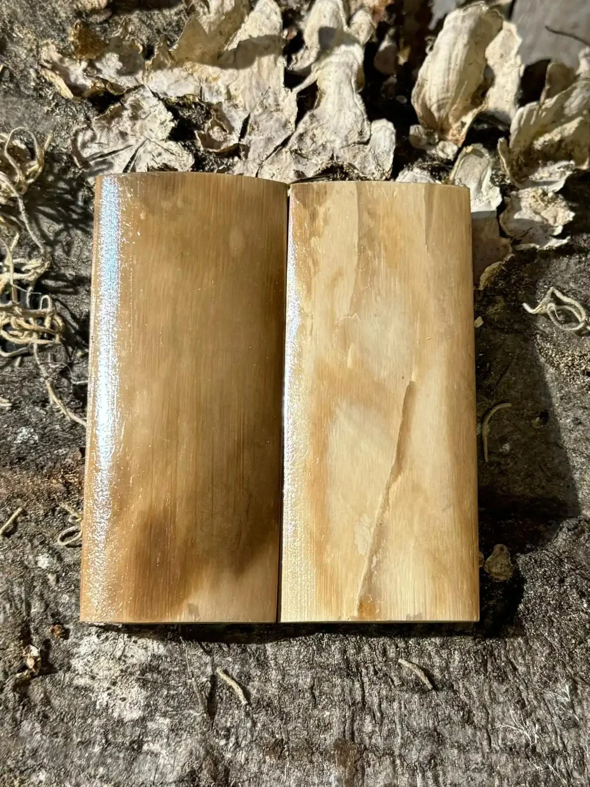 Premium Mammoth Ivory Scales (Set-26)