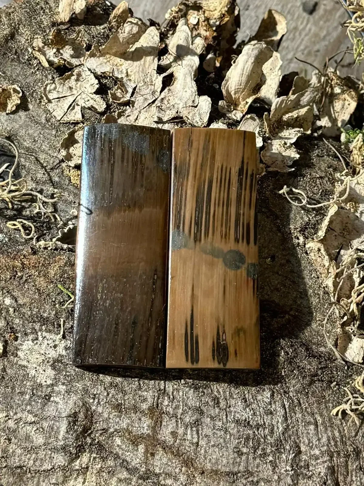 Premium Mammoth Ivory Scales (Set-34)