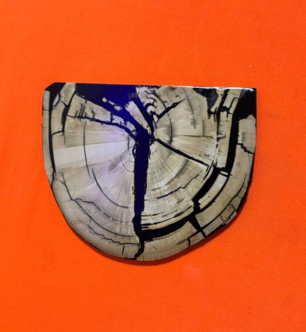 Polished Fossil Mammoth Ivory Half-Round - Tusk Cross-Section Segment