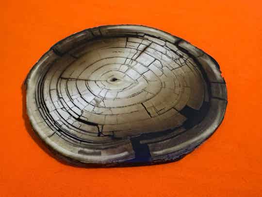 Impressive Fossil Mammoth Ivory Tusk Crosscut- Polished Slice with Nerve Canal Detail