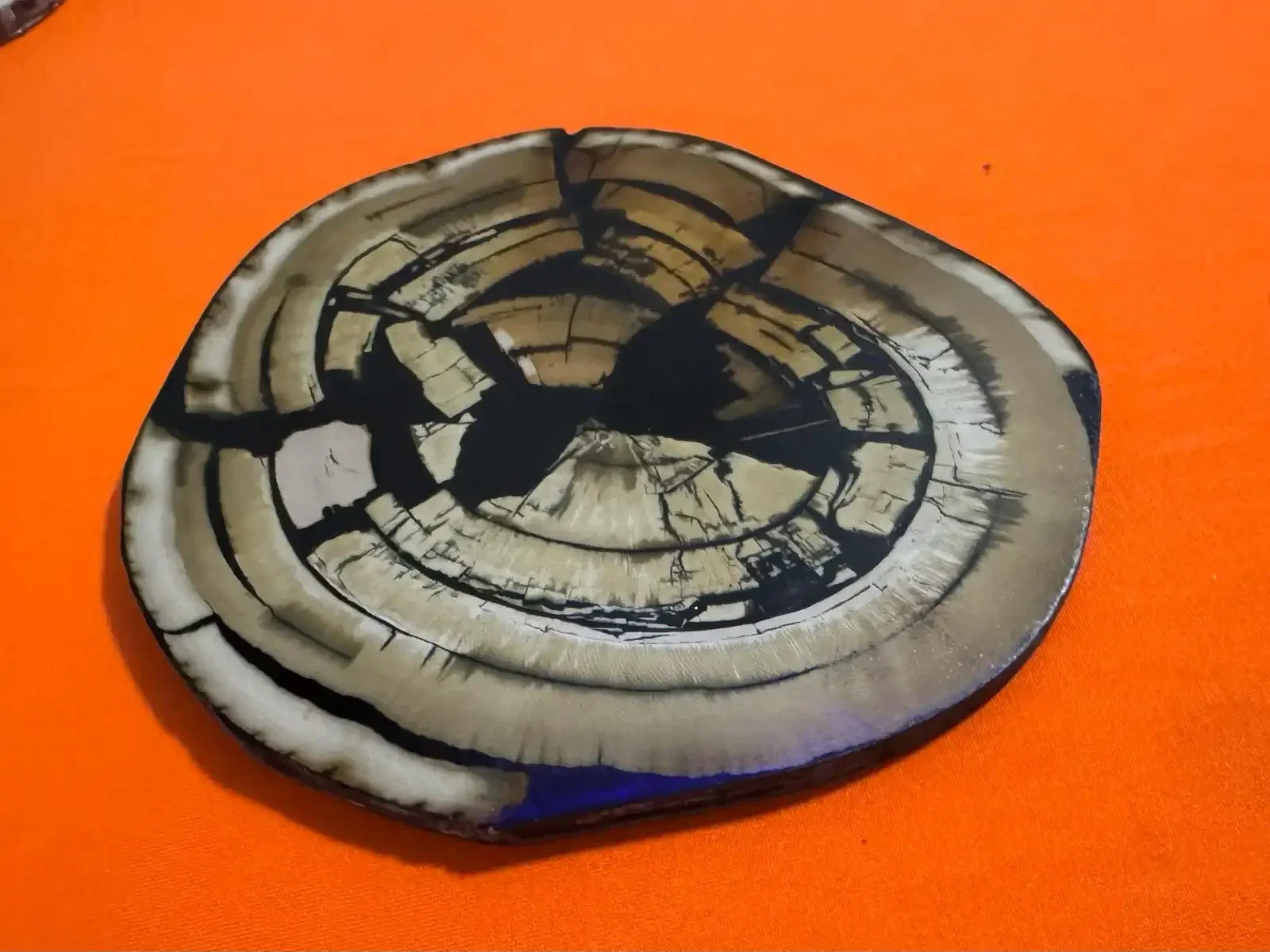 Authentic Fossil Mammoth Ivory Tusk Crosscut - Polished Display Slice