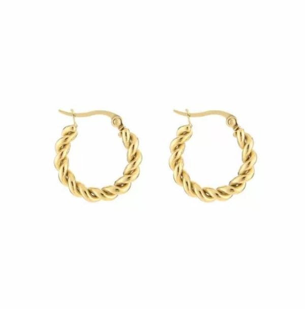 Oorbellen ♥︎ musthave