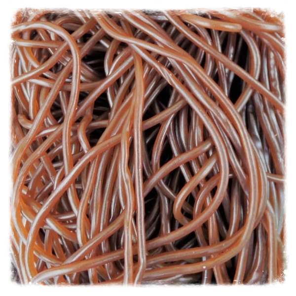 Lasso lisse cola Lot de 10