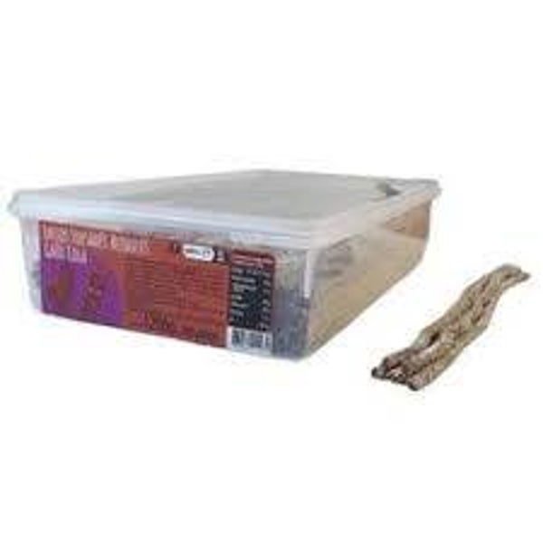 Lasso torsadé Cola sucré lot de 10