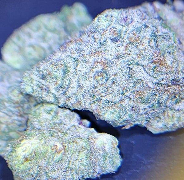 Cereal Milk (Sativa)