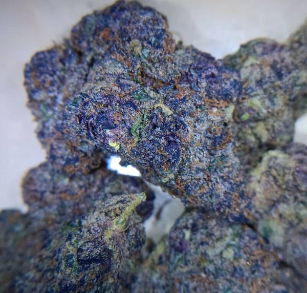 Purple Garlic Breath (Indica)