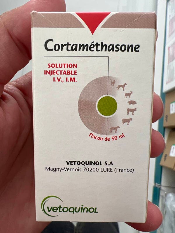 Cortamethasone 50ml