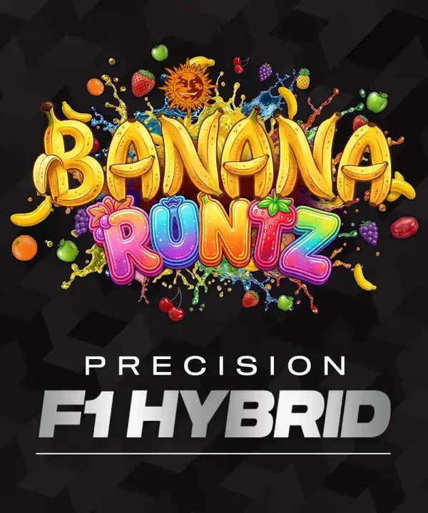 Banana Runtz F1 Fem (Barney's Farm)