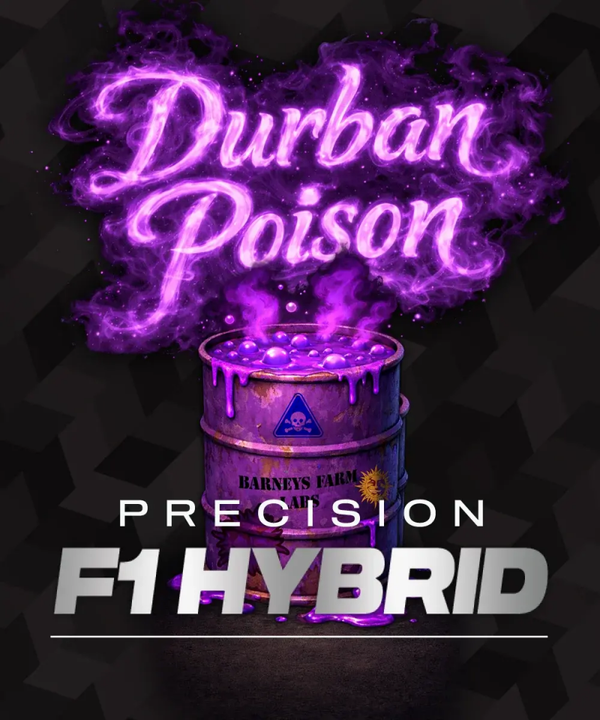 Durban Poison F1 Fem (Barney's Farm)