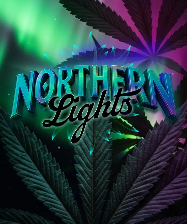 Northern Lights Fem (Barney's Farm)