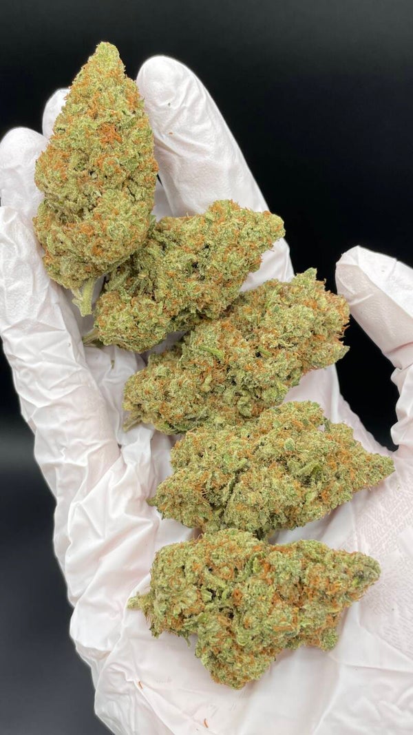 CBD - Amnesia Haze (2)
