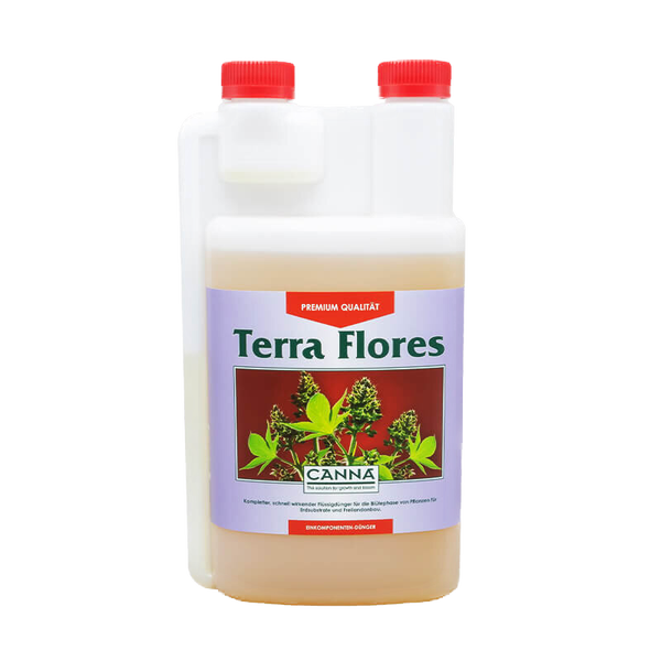 Canna Terra Flores