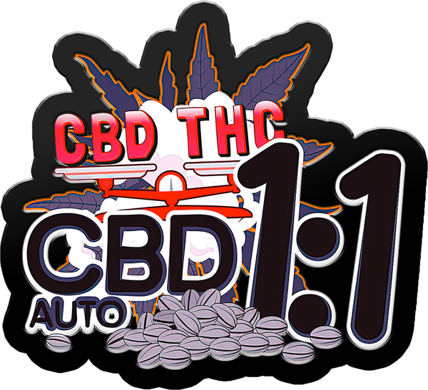 CBD Auto 1:1 (CBD Crack) (2Fast4Buds)
