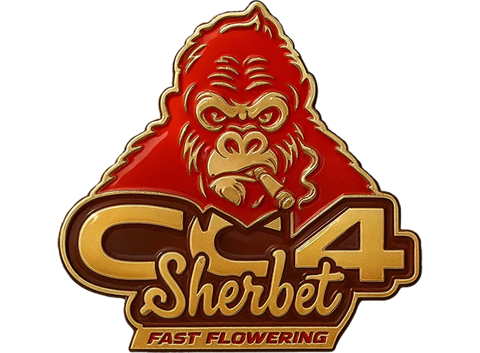 GG4 Sherbet FF (2Fast4Buds)