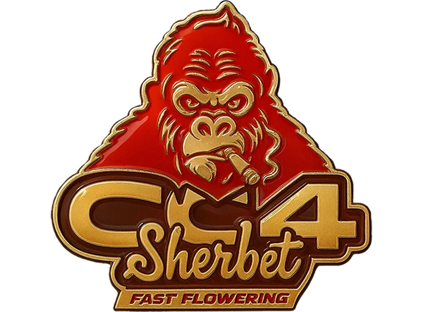 GG4 Sherbet FF (2Fast4Buds)
