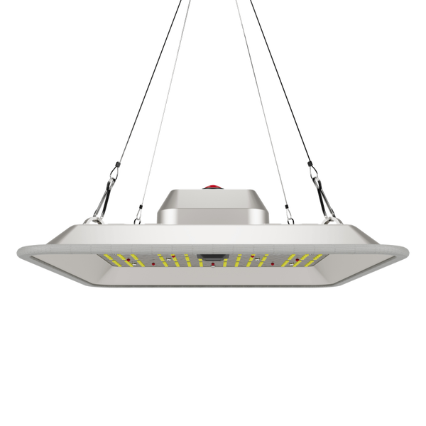 Greenception GC-Pure 80W