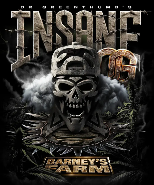 Insane OG Fem (Barney's Farm)
